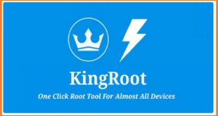 king root