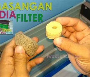 Menggunakan Filter Yang Tepat