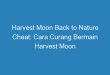 Harvest Moon Back to Nature Cheat: Cara Curang Bermain Harvest Moon