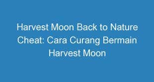 Harvest Moon Back to Nature Cheat: Cara Curang Bermain Harvest Moon