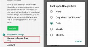 Backup Data Whatsapp Di Android