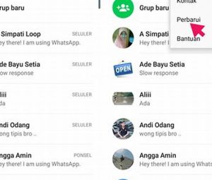 Perbarui Aplikasi Whatsapp
