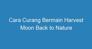 Cara Curang Bermain Harvest Moon Back to Nature