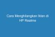 Cara Menghilangkan Iklan di HP Realme