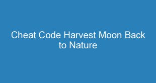 Cheat Code Harvest Moon Back to Nature